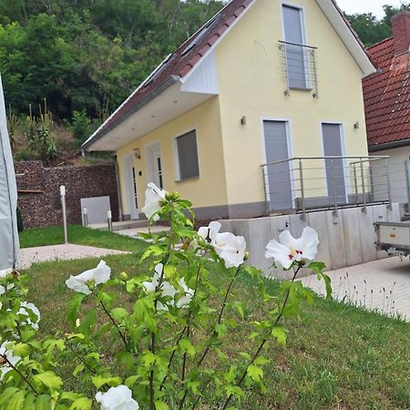 Ferienhaus Saaleblick Wettin Exterior photo