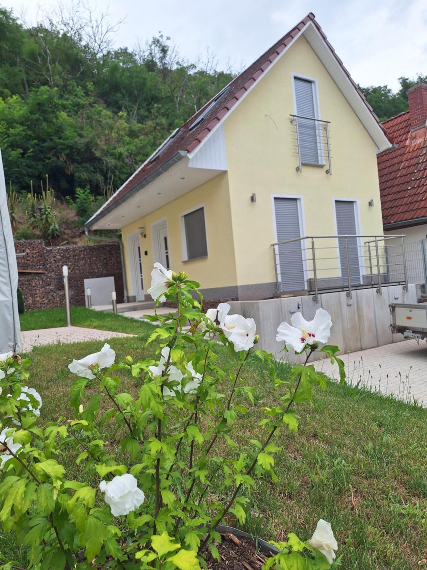 Ferienhaus Saaleblick Wettin Exterior photo